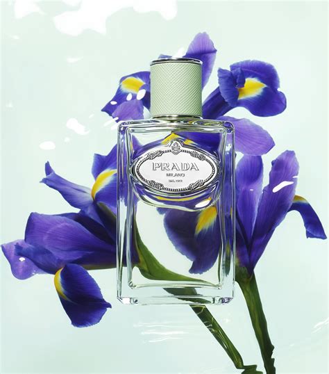 prada infusion d'iris 100ml|prada infusion d'iris reviews.